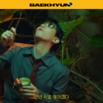 ‘BAEKHYUN STORE’ is the official site to pre-order