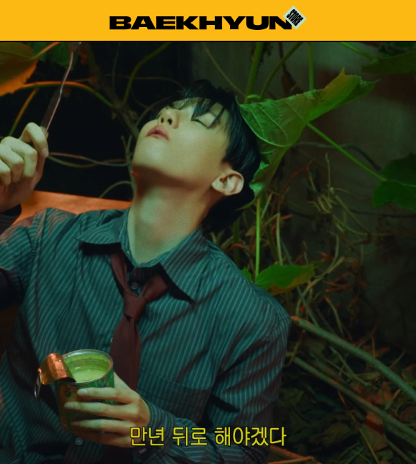 ‘BAEKHYUN STORE’ is the official site to pre-order