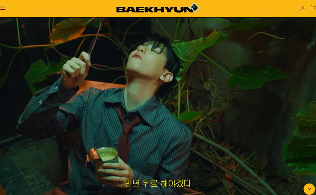 ‘BAEKHYUN STORE’ is the official site to pre-order